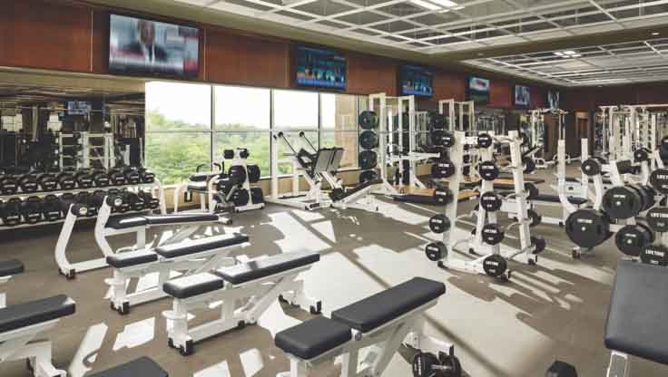 A sunlit fitness area filled with a large assortment of weight benches and weight racks