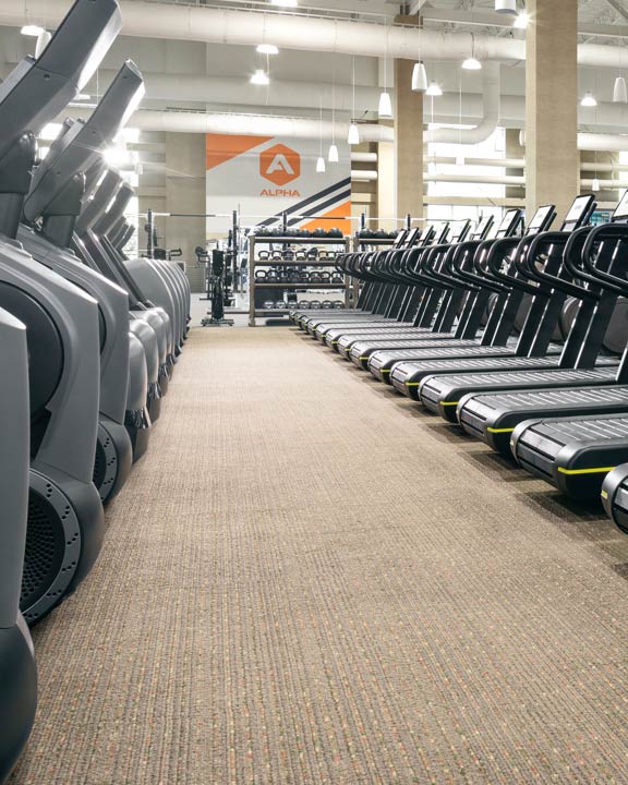 rows of treadmills and elipticals