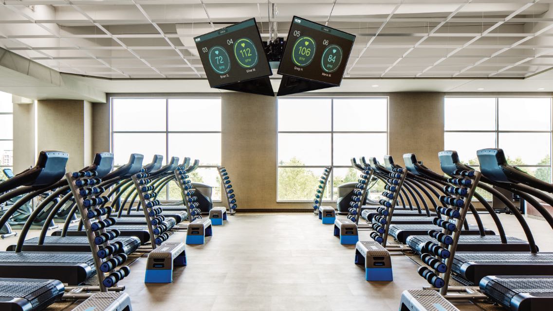 a spacious group training area including dumbbells, treadmills and heart rate monitors. 