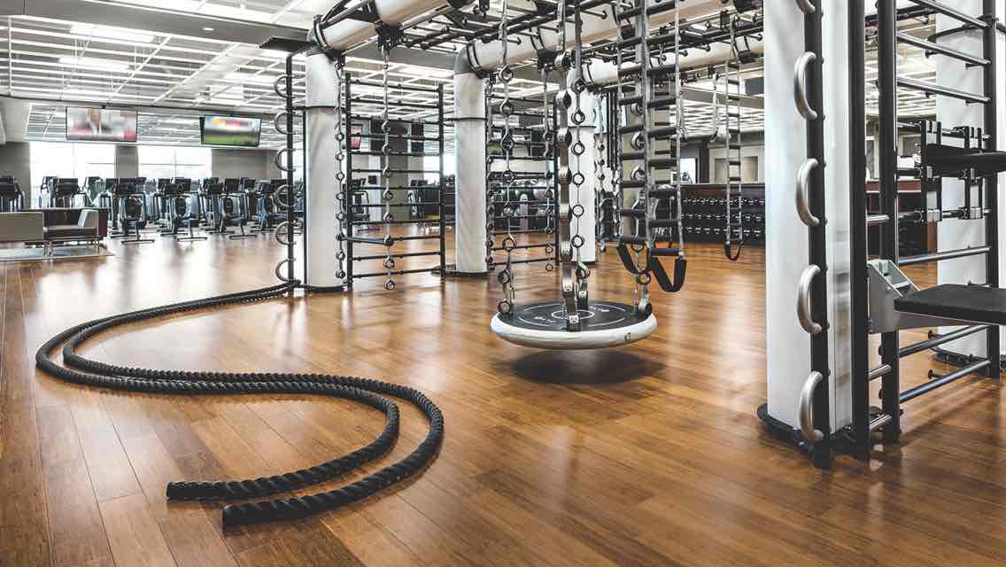 Lifetime fitness best sale gym equipment