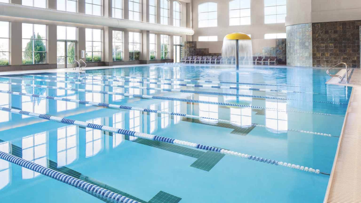 Kids & Adult Swimming Lessons & More in Maple Grove Life Time