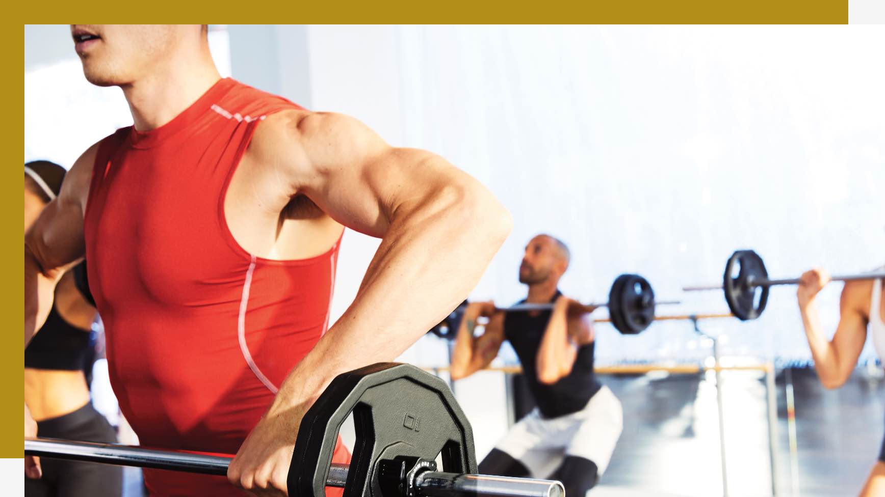 Lifetime fitness weights hot sale