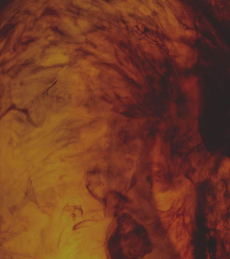 MIORA Performance + Longevity | Holistic Health | Life Time Target ...